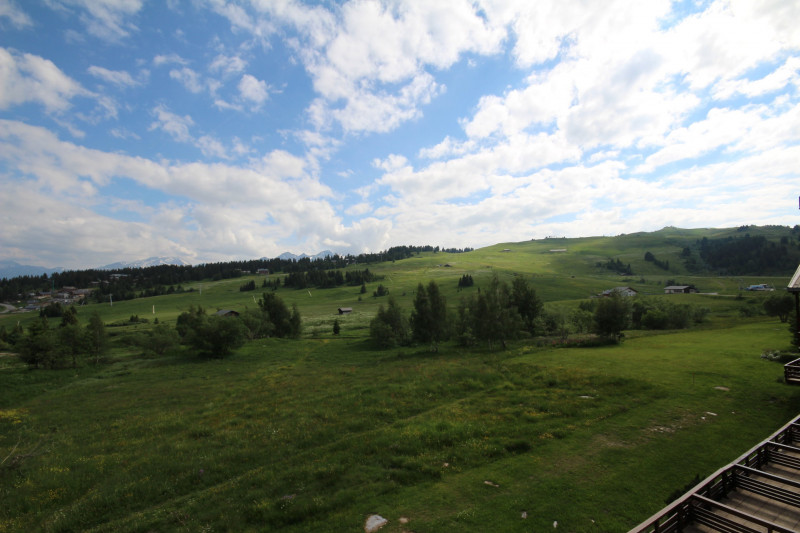 _lv_images__lot_0001470410_13_22287123