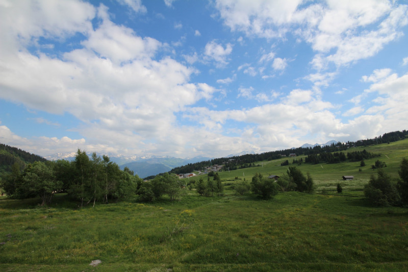 _lv_images__lot_0001470410_14_20767319 _lv_images__lot_0001470410_14_20767319