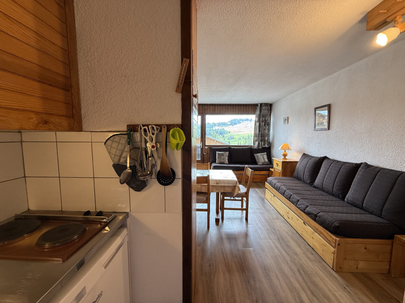 _lv_images__lot_0001480205_08_21317404