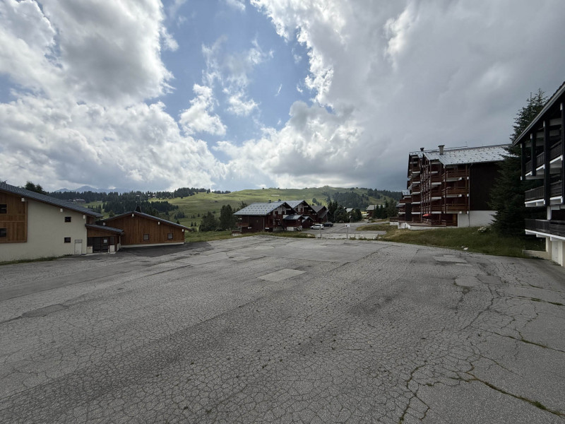 _lv_images__lot_0001480205_12_23326434 _lv_images__lot_0001480205_12_23326434
