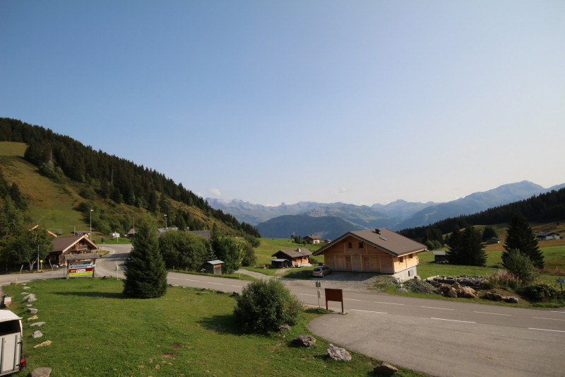 _lv_images__lot_0001690113_09_23437661
