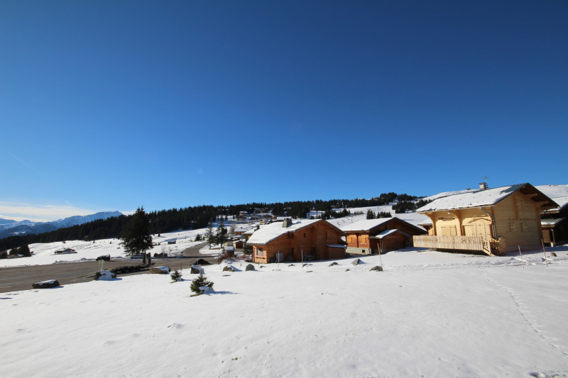 _lv_images__lot_0001710301_11_23337564
