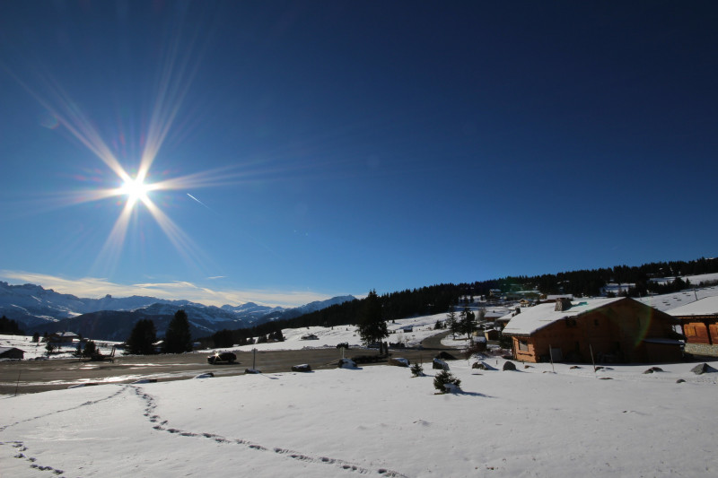 _lv_images__lot_0001710301_12_23575584