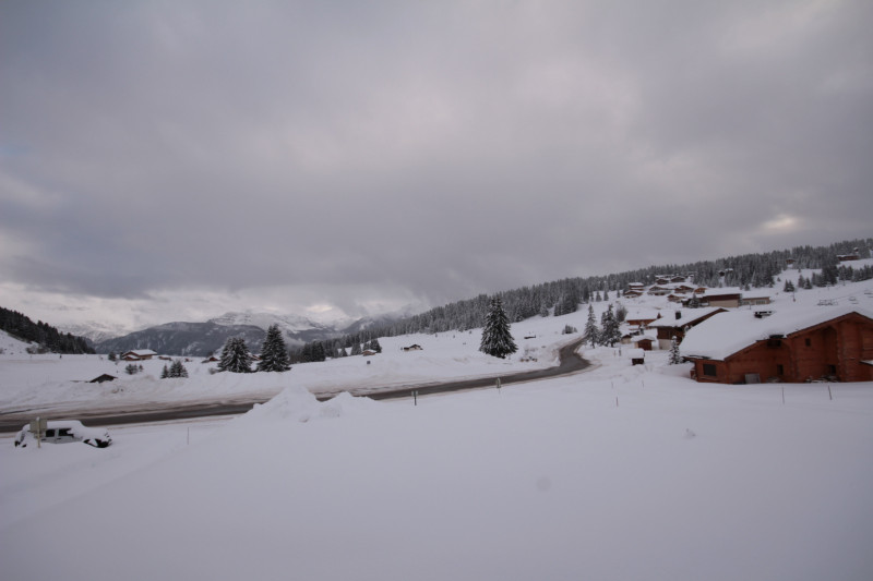 _lv_images__lot_0001710308_11_23339236 _lv_images__lot_0001710308_11_23339236