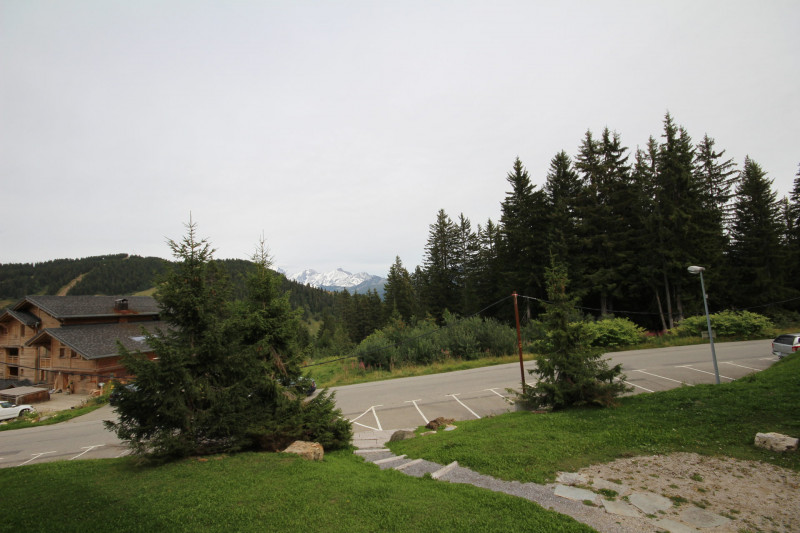 _lv_images__lot_0001870008_09_23338593 _lv_images__lot_0001870008_09_23338593