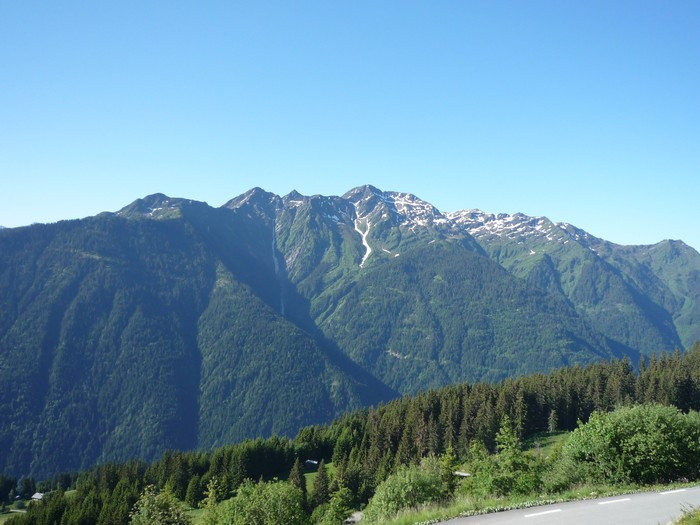 _lv_images__lot_0001950003_10_20720799 _lv_images__lot_0001950003_10_20720799