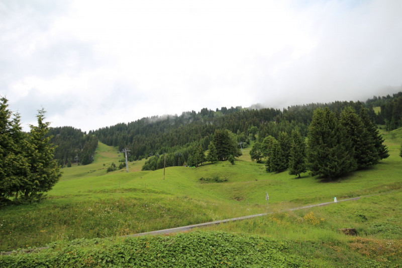 _lv_images__lot_0002010014_15_20328417 _lv_images__lot_0002010014_15_20328417