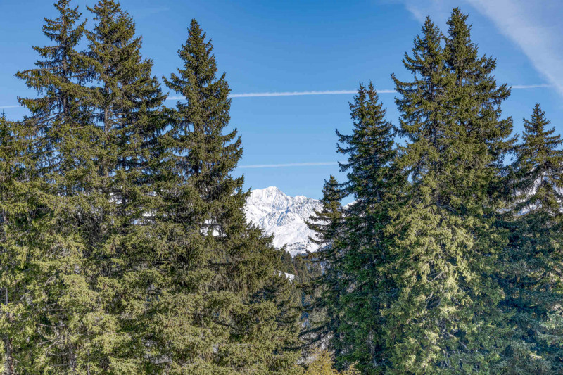 _lv_images__lot_0075554115_15_23439504 _lv_images__lot_0075554115_15_23439504