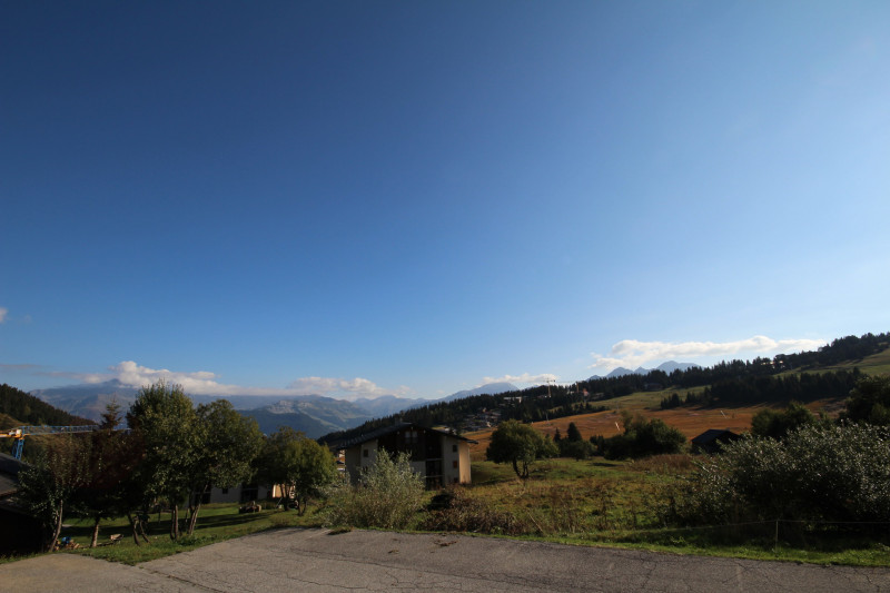 _lv_images__lot_0100000020_12_23436022 _lv_images__lot_0100000020_12_23436022