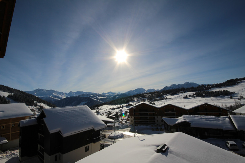 _lv_images__lot_0100000048_14_23336675 _lv_images__lot_0100000048_14_23336675