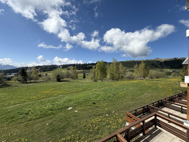 _lv_images__lot_0100000083_13_20220350 _lv_images__lot_0100000083_13_20220350