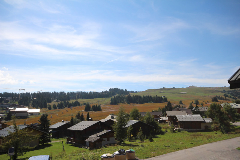 _lv_images__lot_0100000091_08_23325482 _lv_images__lot_0100000091_08_23325482