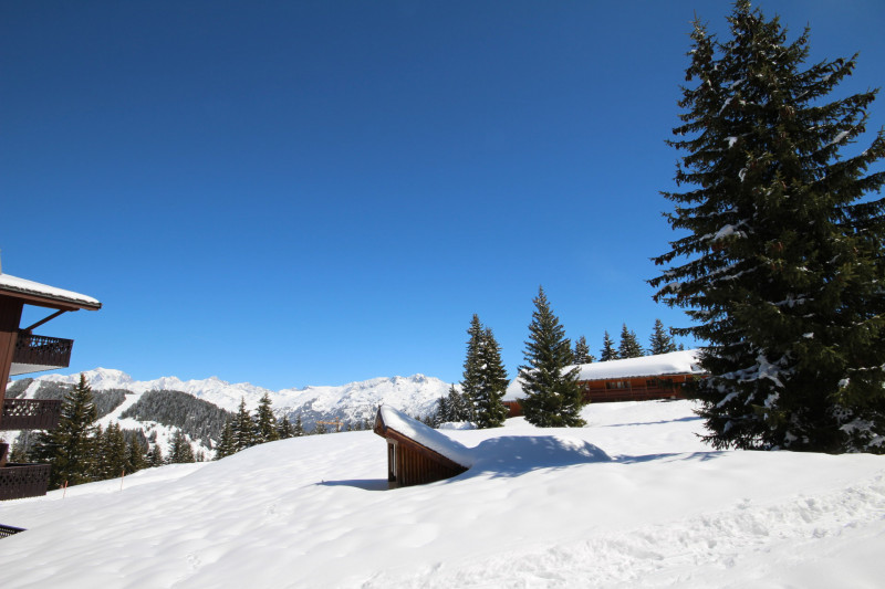 _lv_images__lot_0100000094_11_23411763 _lv_images__lot_0100000094_11_23411763
