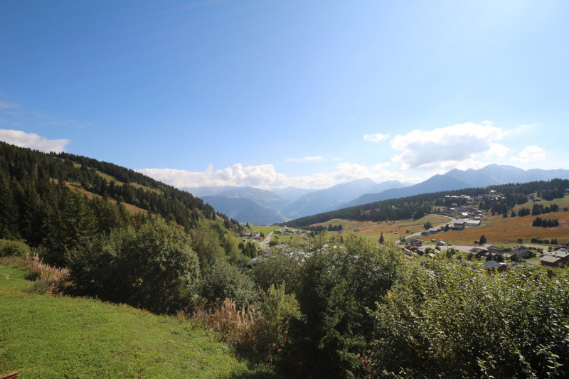 _lv_images__lot_0100000096_09_20253494