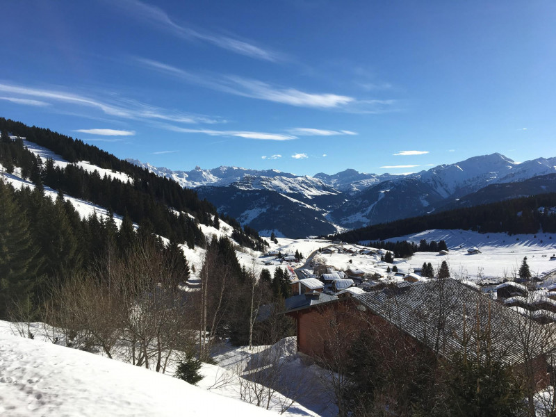 _lv_images__lot_0100000096_11_21719103 _lv_images__lot_0100000096_11_21719103