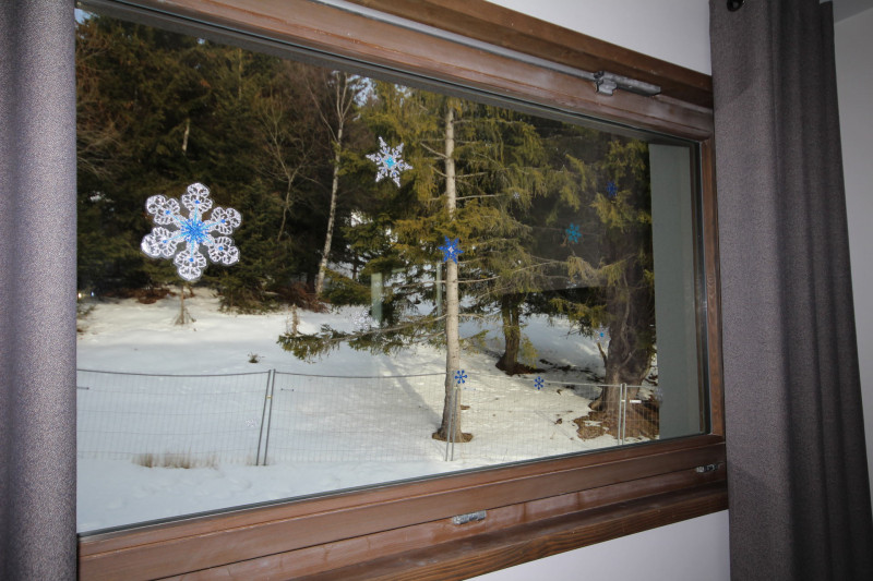 _lv_images__lot_0100000102_11_19621915