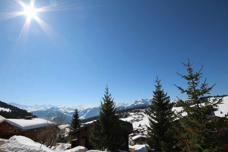 _lv_images__lot_0100000109_11_23411954 _lv_images__lot_0100000109_11_23411954