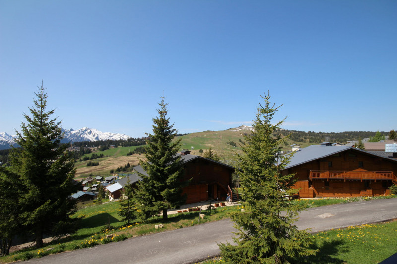 _lv_images__lot_0100000109_13_23385358