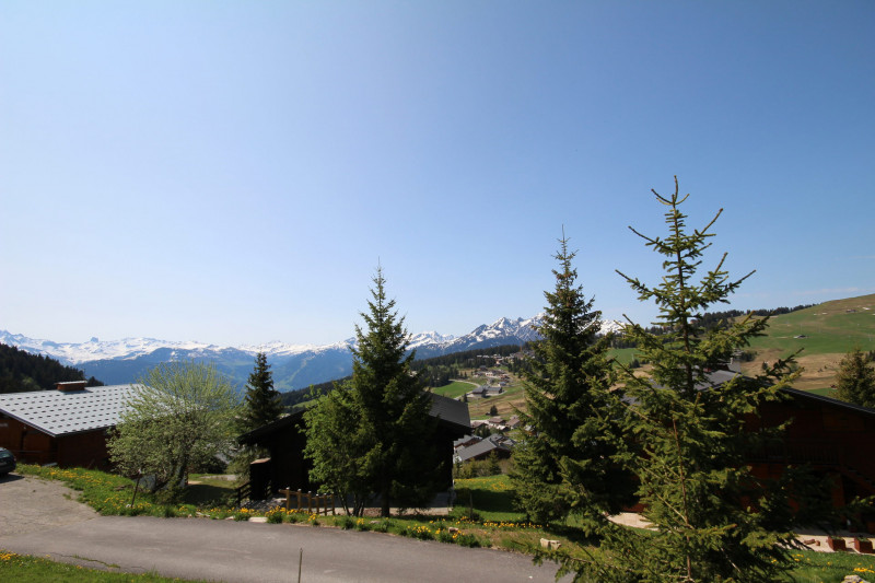 _lv_images__lot_0100000109_14_20665841 _lv_images__lot_0100000109_14_20665841