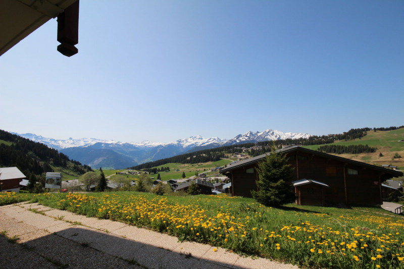 _lv_images__lot_0100000115_10_23338186 _lv_images__lot_0100000115_10_23338186