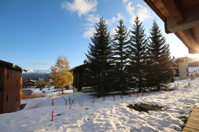 _lv_images__lot_0100000125_15_23500354