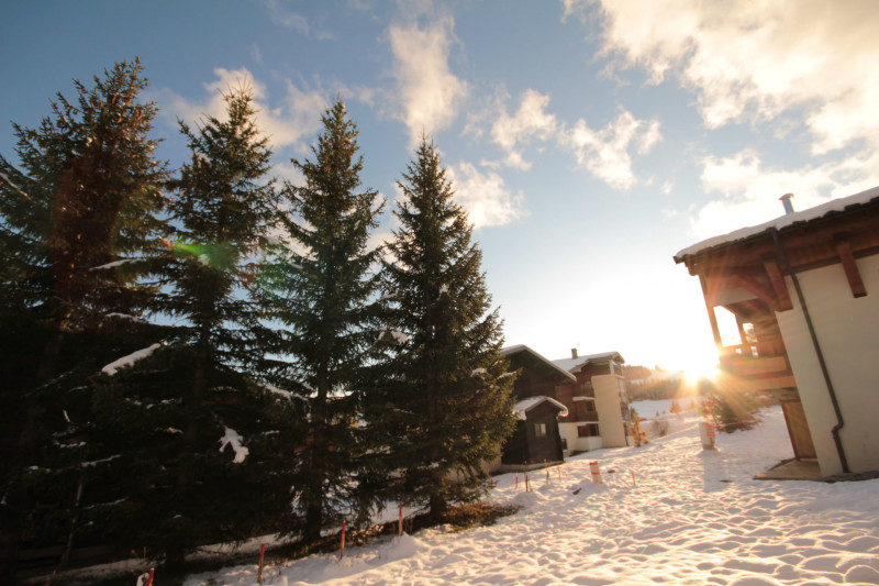 _lv_images__lot_0100000125_16_18646311