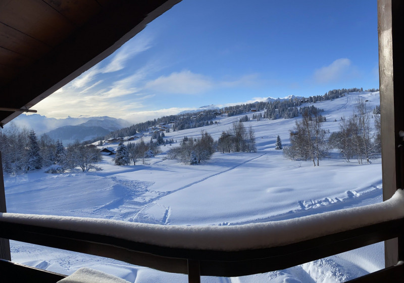 _lv_images__lot_0100000144_11_18646807
