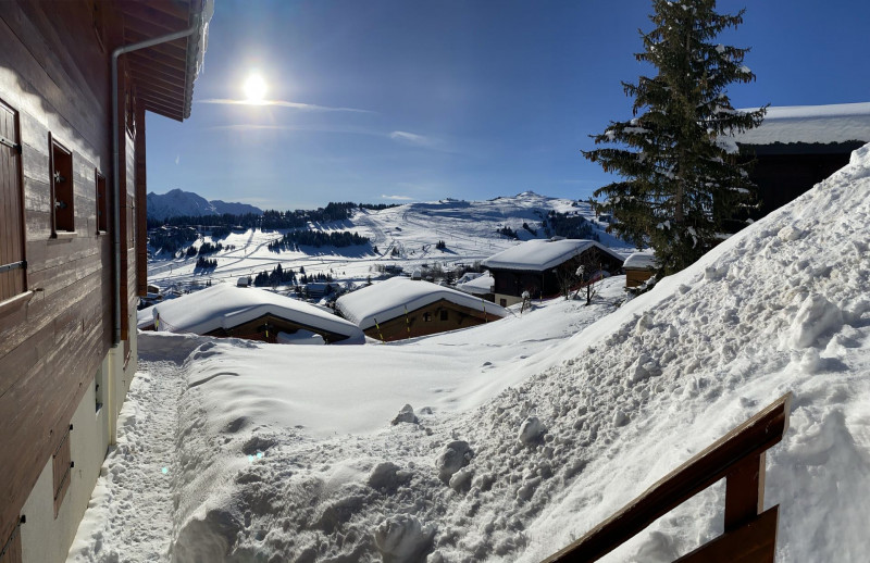 _lv_images__lot_0100000154_09_23384433
