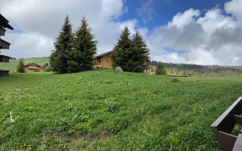 _lv_images__lot_0100000163_13_18618456