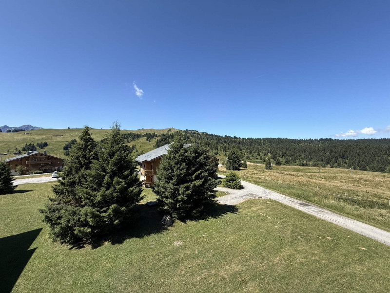 _lv_images__lot_0100000169_16_23336154 _lv_images__lot_0100000169_16_23336154
