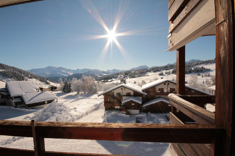 _lv_images__lot_0100000221_09_23338387 _lv_images__lot_0100000221_09_23338387
