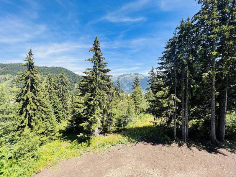 _lv_images__lot_0100000228_12_20270024