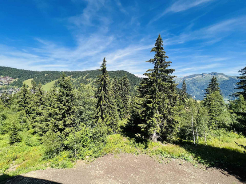 _lv_images__lot_0100000228_13_22274595