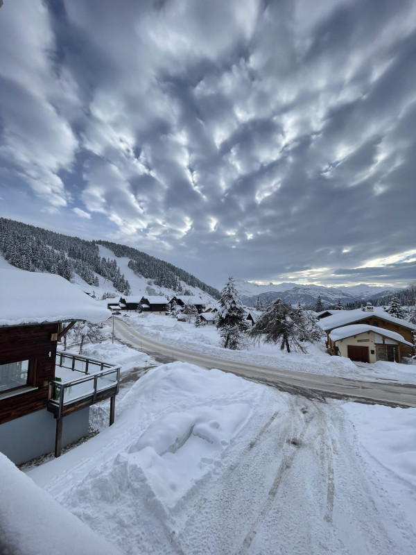 _lv_images__lot_0100000232_12_18993428