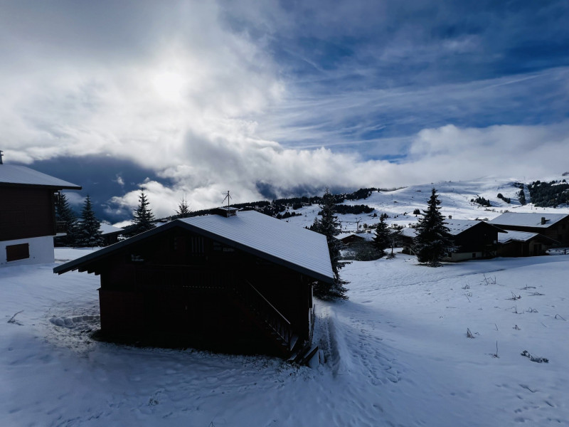_lv_images__lot_0100000233_10_18690219