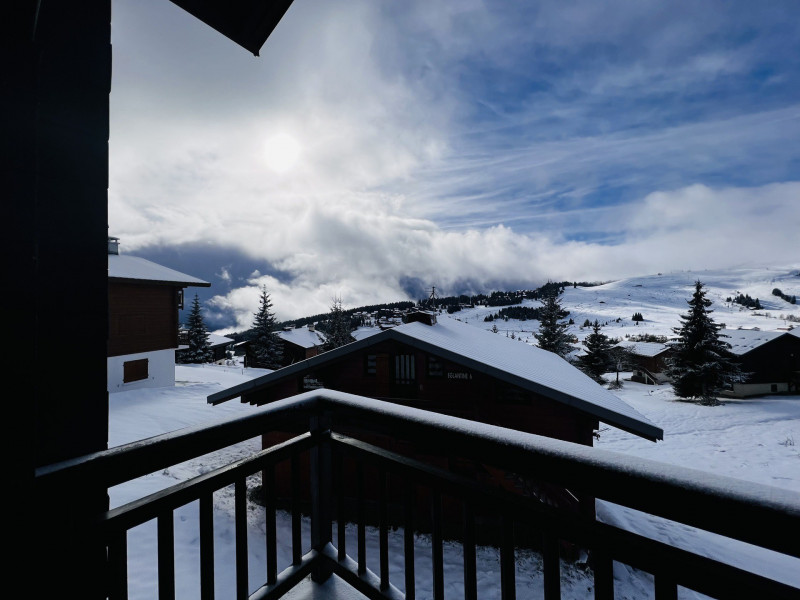 _lv_images__lot_0100000233_12_18690221