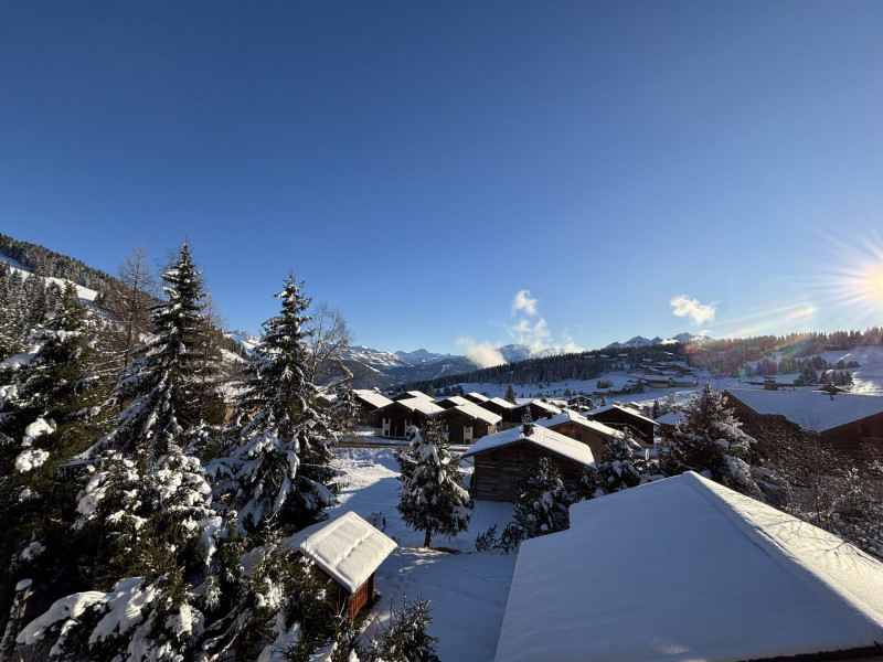 _lv_images__lot_0100000256_07_22029271 _lv_images__lot_0100000256_07_22029271