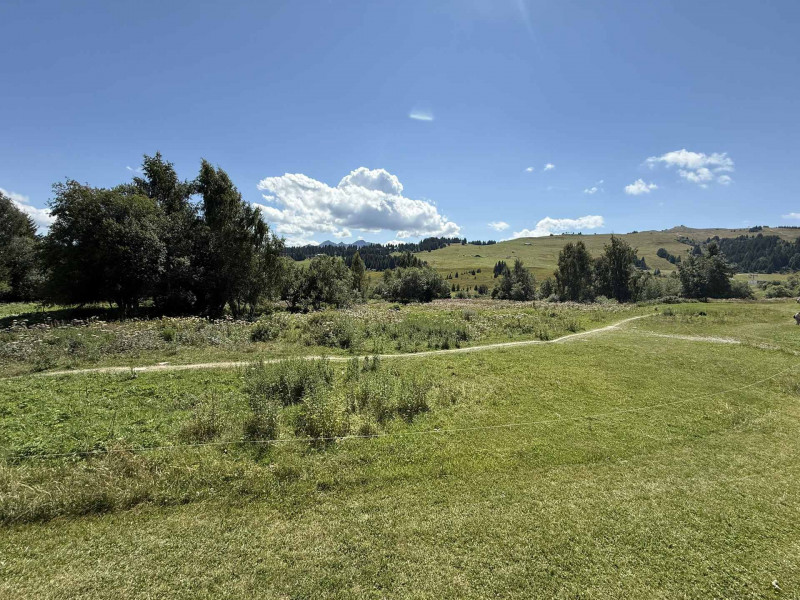 _lv_images__lot_0100000262_13_22198233