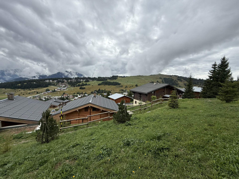 _lv_images__lot_0100000266_13_23573714