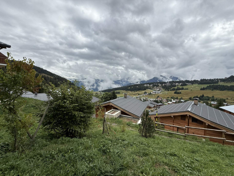 _lv_images__lot_0100000266_14_23573715
