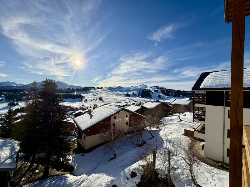 _lv_images__lot_0100000278_13_22176068