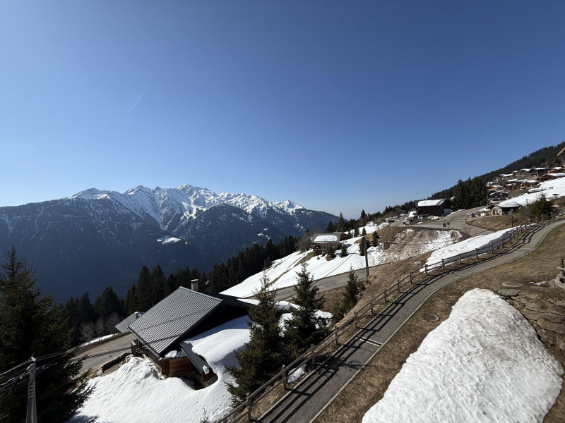 _lv_images__lot_0100000286_13_22175612