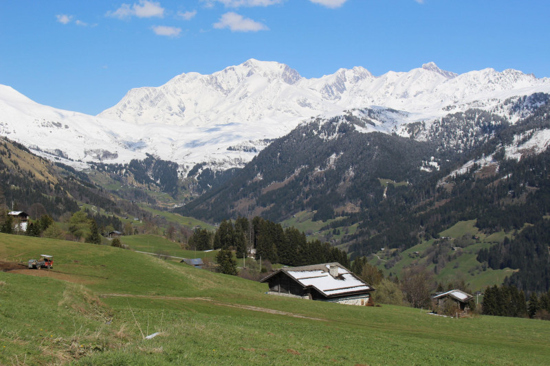 photo-panorama-mont-blanc-16200827