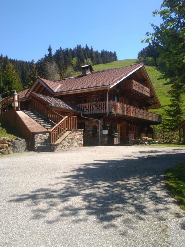 Photo 41